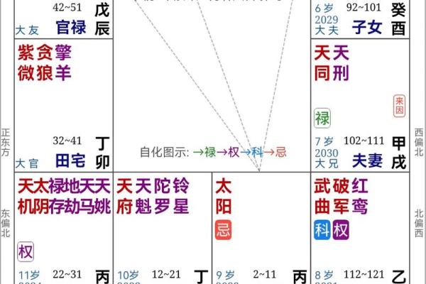 2025年4月11日亥时男命紫微斗数全解盘 2025年4月11日亥时男命紫微斗数全解盘