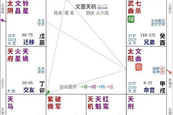 2025年4月11日亥时男命紫微斗数全解盘 2025年4月11日亥时男命紫微斗数全解盘