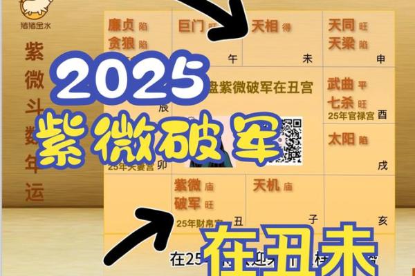 2025年4月24日寅时男命紫微斗数全解盘 2025年4月24日寅时男命紫微斗数全解盘