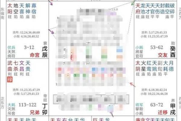 2025年4月29日丑时男命紫微斗数全解盘 2025年4月29日丑时男命紫微斗数全解盘