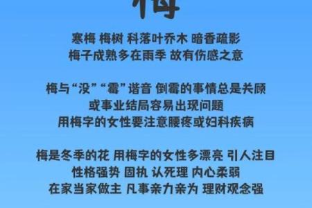 梅姓女孩名字大全-梅姓女孩起名字大全-梅姓名字大全姓名